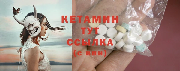 прущие грибы Коряжма