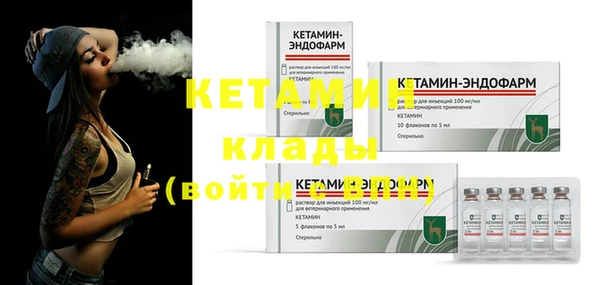 шишки Тихвин
