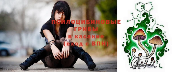 ешки Краснотурьинск