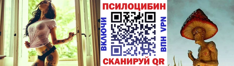 Псилоцибиновые грибы Psilocybine cubensis  Сусуман 