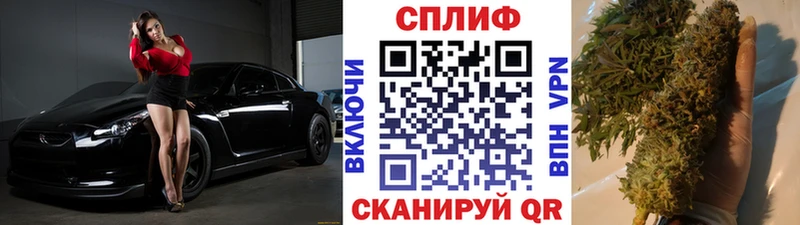 гидра зеркало  Сусуман  Бошки Шишки индика 